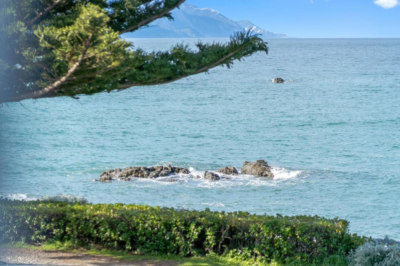 Kaikoura Waterfront Apartments Dış mekan fotoğraf