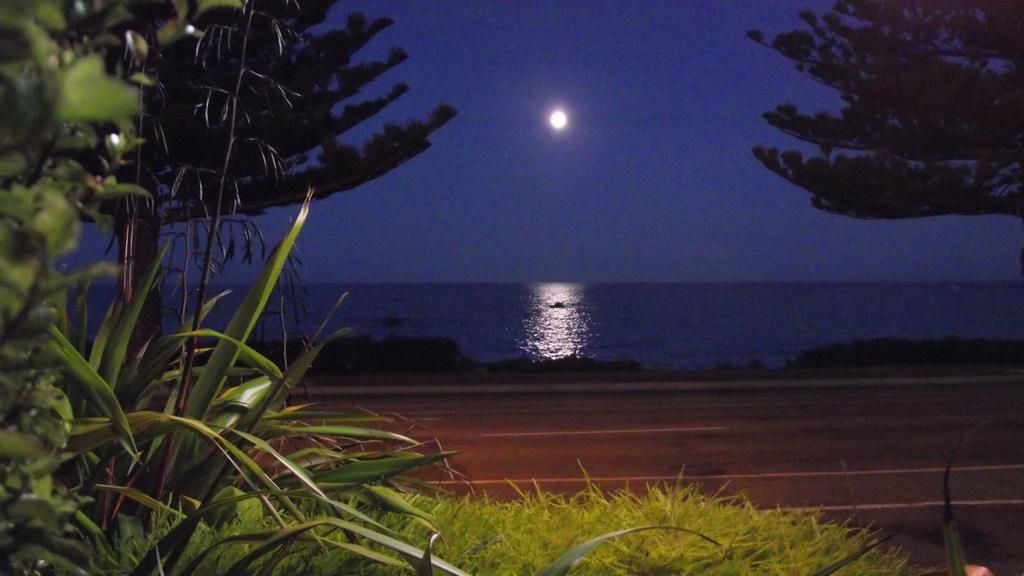 Kaikoura Waterfront Apartments Dış mekan fotoğraf